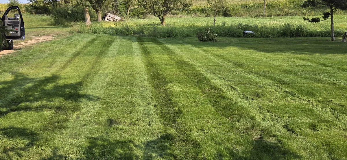 Lush green lawn highlighting hydroseeding by Green Escapes Lawn Care, a professional landscaping service for healthy lawns.